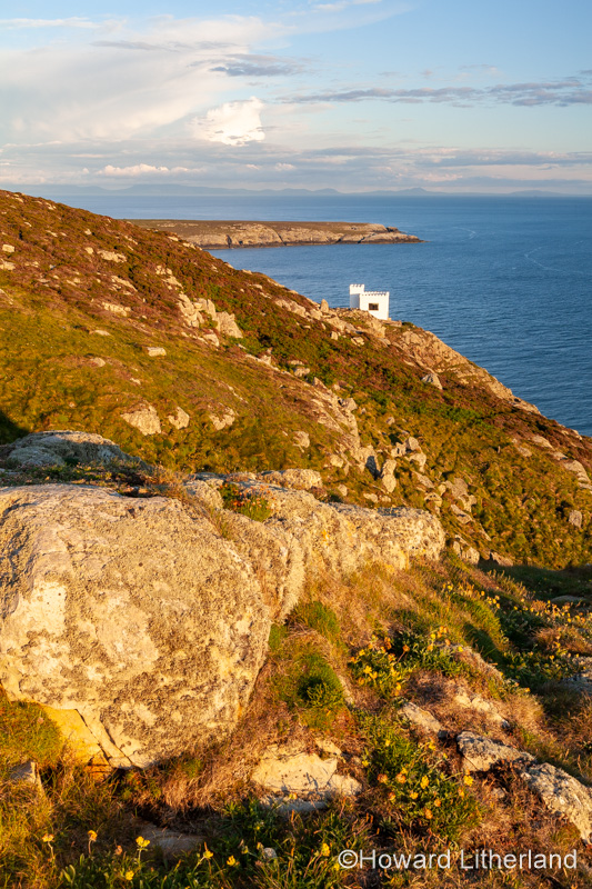 Ellin's tower on the cliffs at South Stack, Anglesey, North Wales