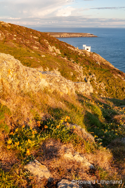 Ellin's tower on the cliffs at South Stack, Anglesey, North Wales