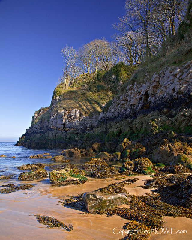 Beach and cliff, Barafundle Bay, Pembrokeshire
