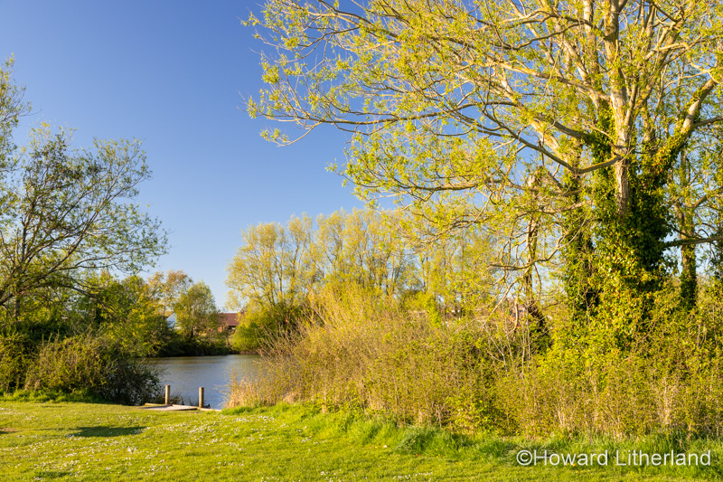Lake and trees at Buckley Common, Flintshire, North Wales
