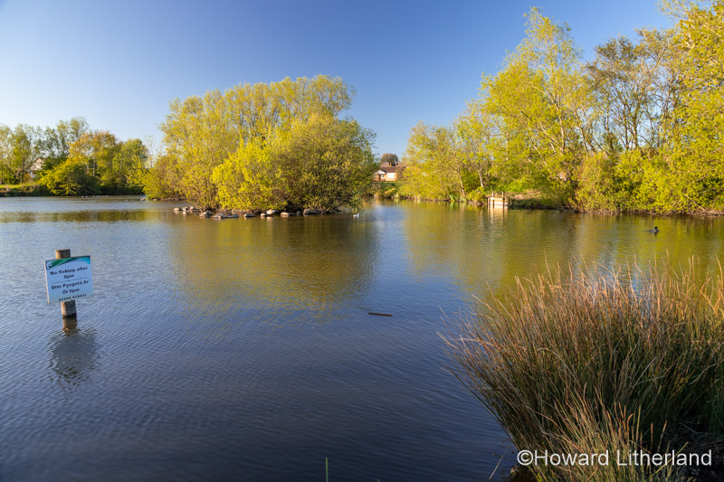 Lake and trees at Buckley Common, Flintshire, North Wales