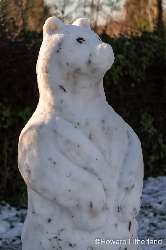 Snowbear snow sculpture in Buckley, North Wales