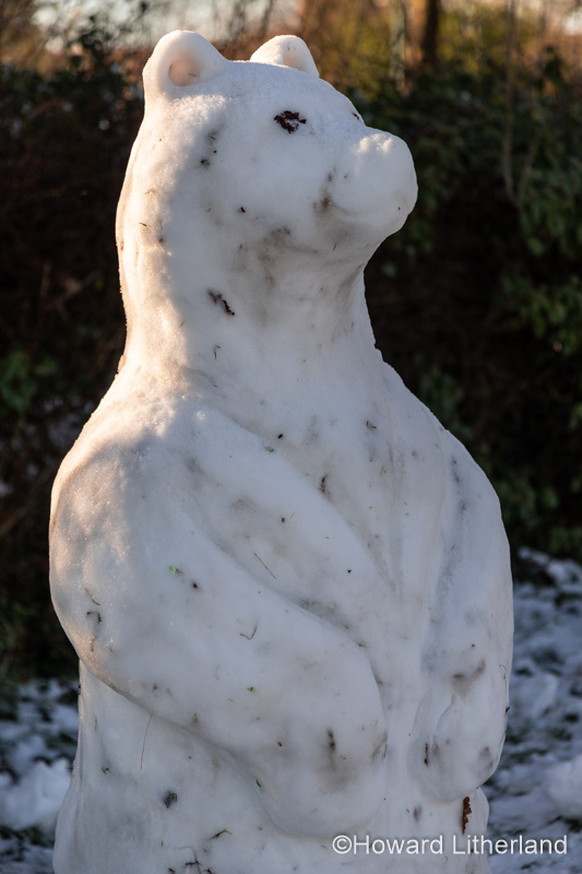 Snowbear snow sculpture in Buckley, North Wales