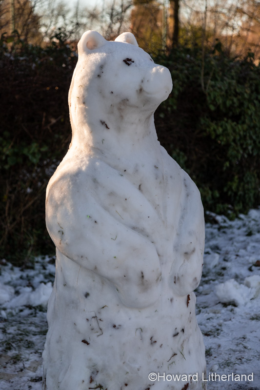 Snowbear snow sculpture in Buckley, North Wales