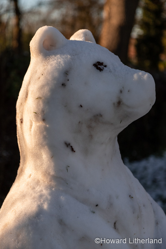 Snowbear snow sculpture in Buckley, North Wales