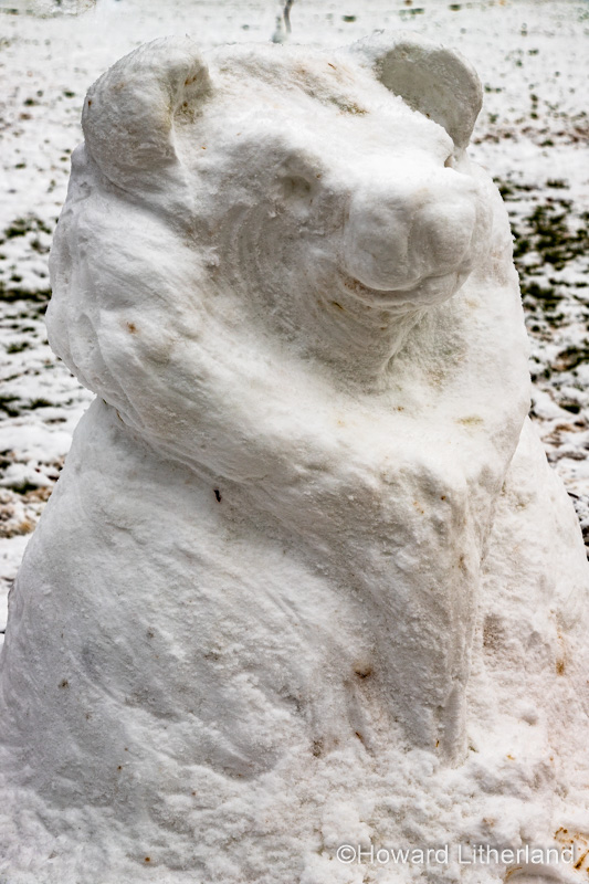 Snowbear sculpture made from snow, Buckley, North Wales