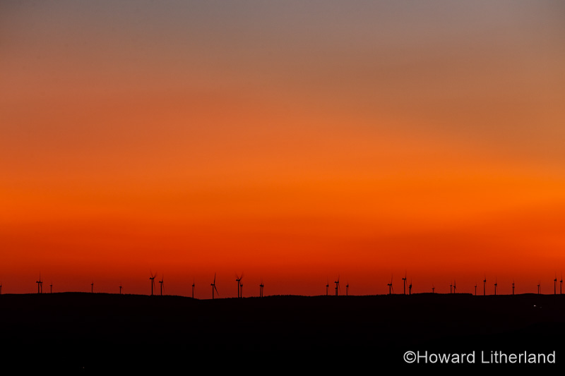 Clocaenog wind farm at dusk, North Wales
