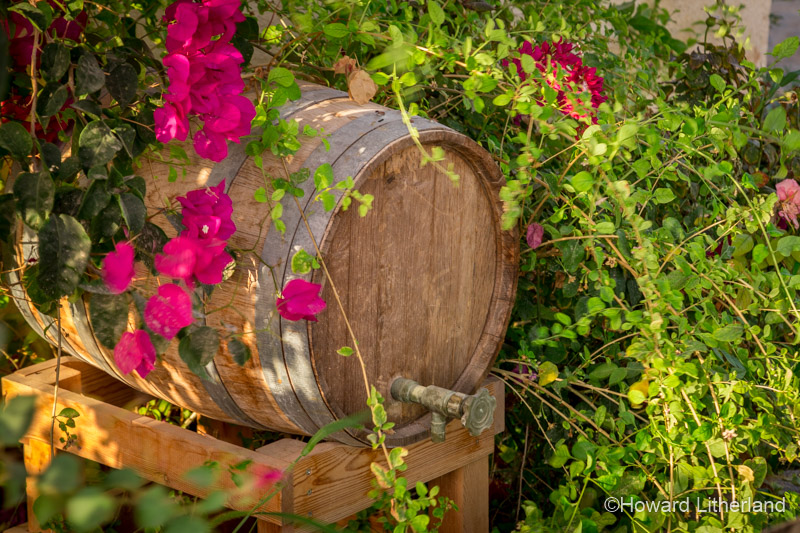 Old wine barrel and flowers, Crete