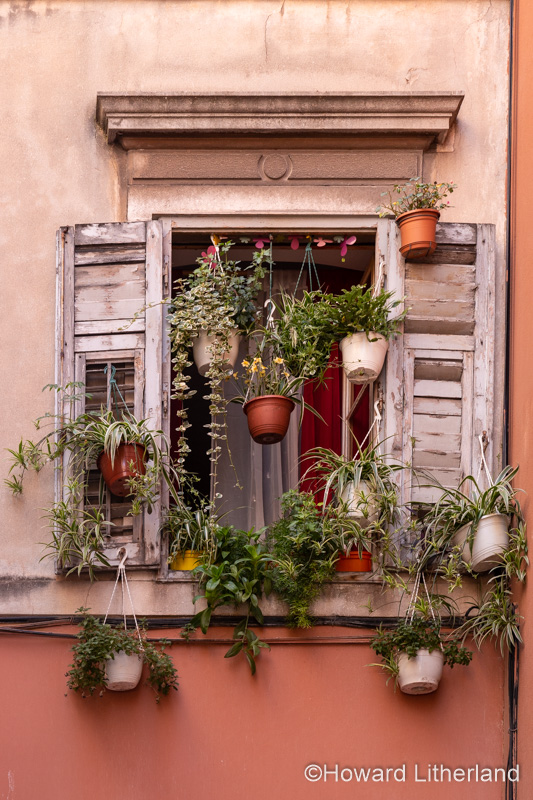 Window with shutters and plants, Split, Croatia