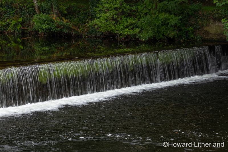 Weir on the River Tavy at Tavistock, Devon