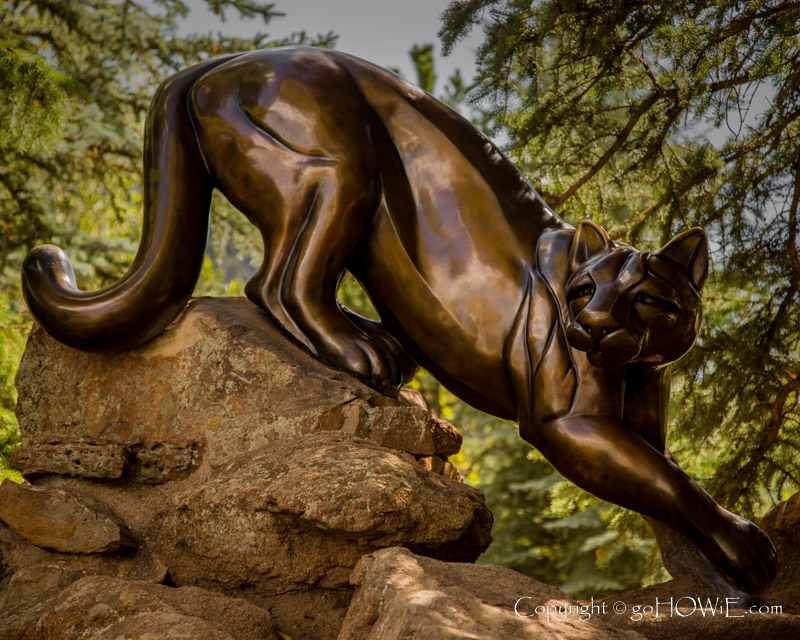 Bronze sculpture of a mountain lion, Estes Park, Colorado, U.S.A.