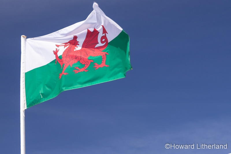 Wales national flag
