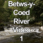 Real time video of the Afon Llugwy river at Betws-y-Coed, North Wales