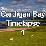 Time lapse video showing sheep grazing while clouds and sunlight pass over Cardigan Bay on the Welsh coast