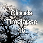 Time lapse video showing dramatic strom clouds blowing across a darkening sky behind a tree in silhouette