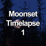 Timelapse video of the moon setting behind trees