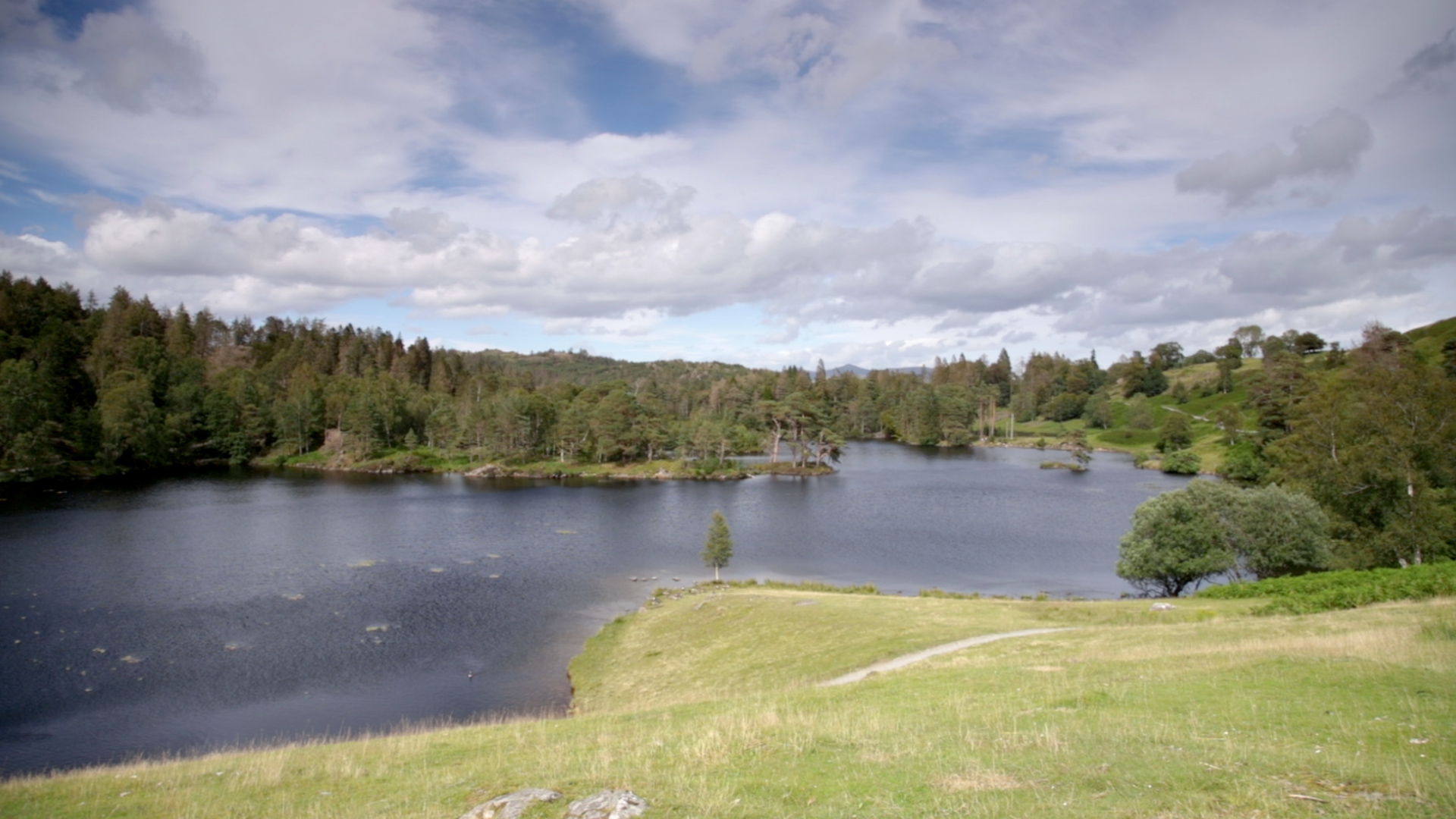 Panning Video Of Tarn Hows Lake In The Lake District, England