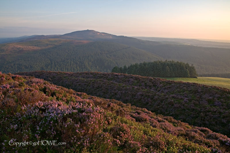 Mist and Moel Famau, North Wales