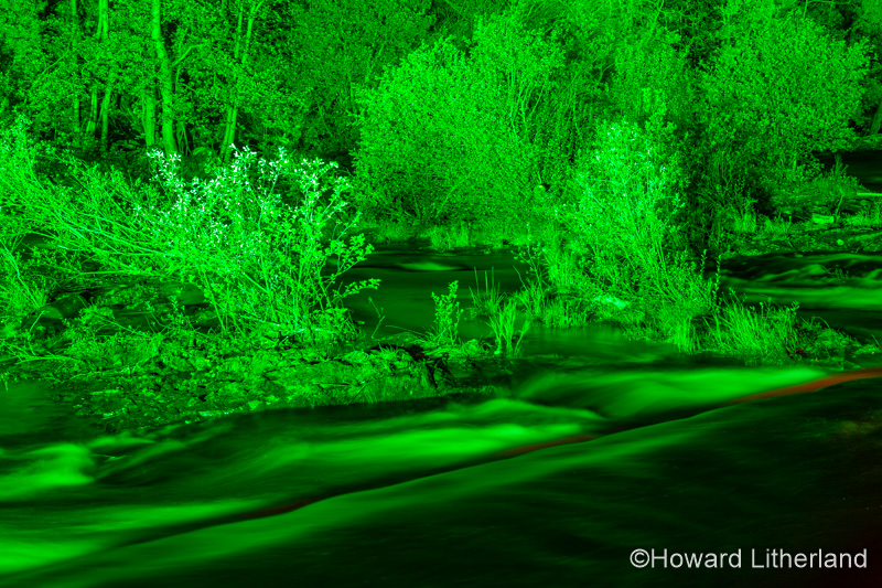 Night time illuminations of trees and river at Horseshoe Falls, River Dee, Llangollen, North Wales