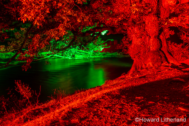 Night time illuminations of trees and river at Horseshoe Falls, River Dee, Llangollen, North Wales