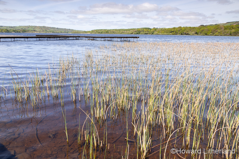 Lough Graney in County Clare, Ireland