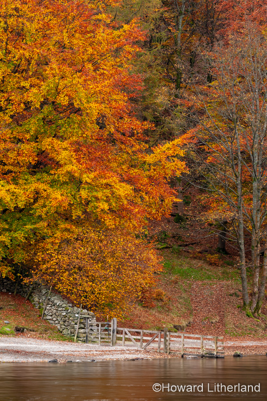 Lake District in autumn colours at Grasmere