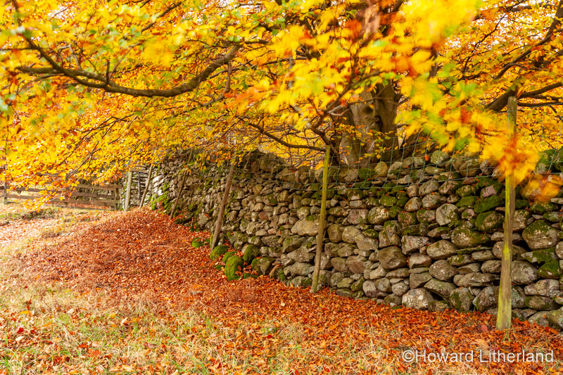 Lake District in autumn colours at Grasmere