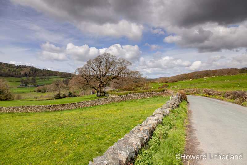 Rural landscape in the Lake District, Cumbria, England
