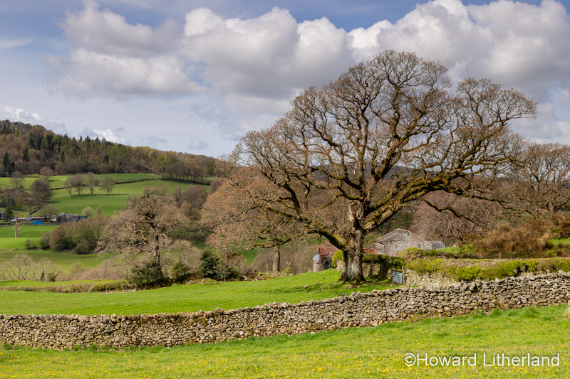 Rural landscape in the Lake District, Cumbria, England