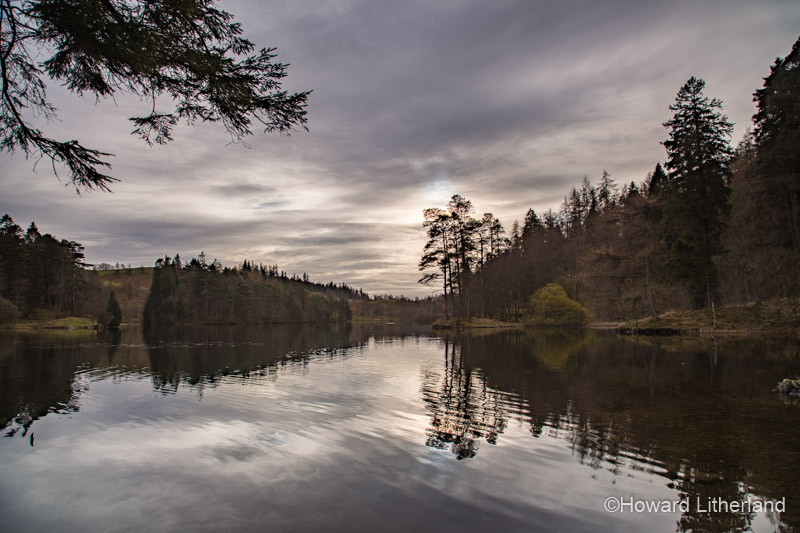 Trees in autumnal colours reflecting in the waters of Tarn Hows under cloudy skies in the Lake District, Cumbria, England