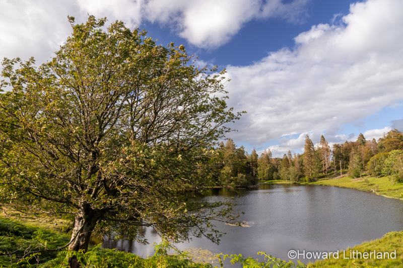 Tarn Hows lake in the Lake District, England