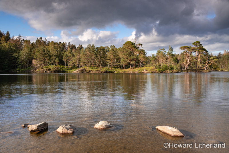 Tarn Hows lake in the Lake District, England