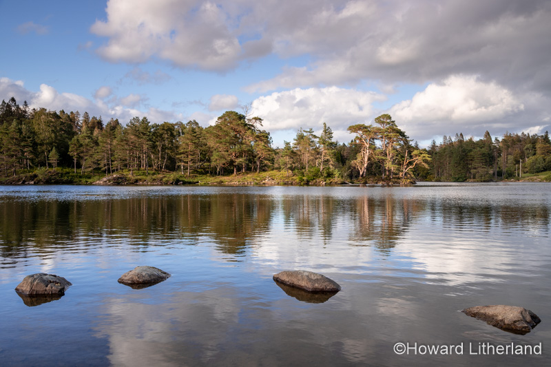 Tarn Hows lake in the Lake District, England
