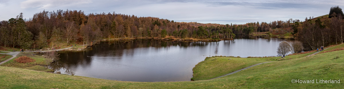 Panoramic image of the lake and woodland at Tarn Hows in the Lake District, Cumbria, England