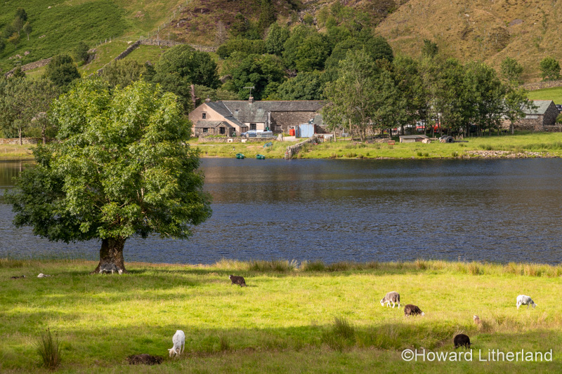 Watendlath Tarn in the Lake District, England