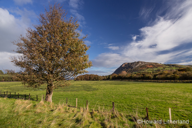 Headland and tree at Llanfairfechan, North Wales coast