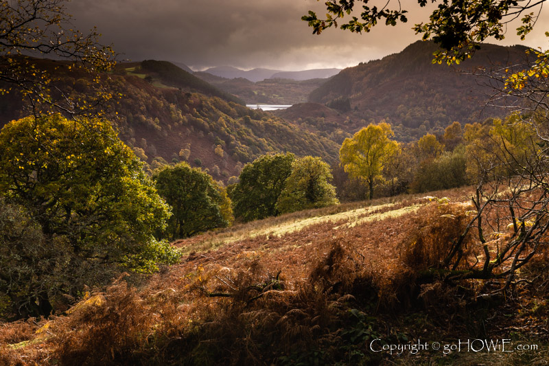 View looking down on the beautiful Llyn Crafnant in the Snowdonia National Park, North Wales with trees in their autumn colours in the foreground