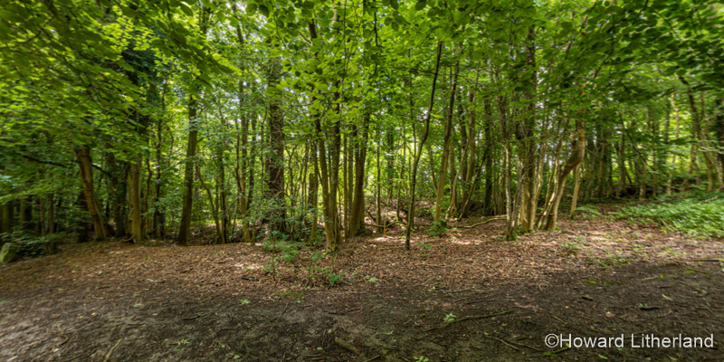 360° Interactive Panorama featuring Loggerheads Country Park, North Wales
