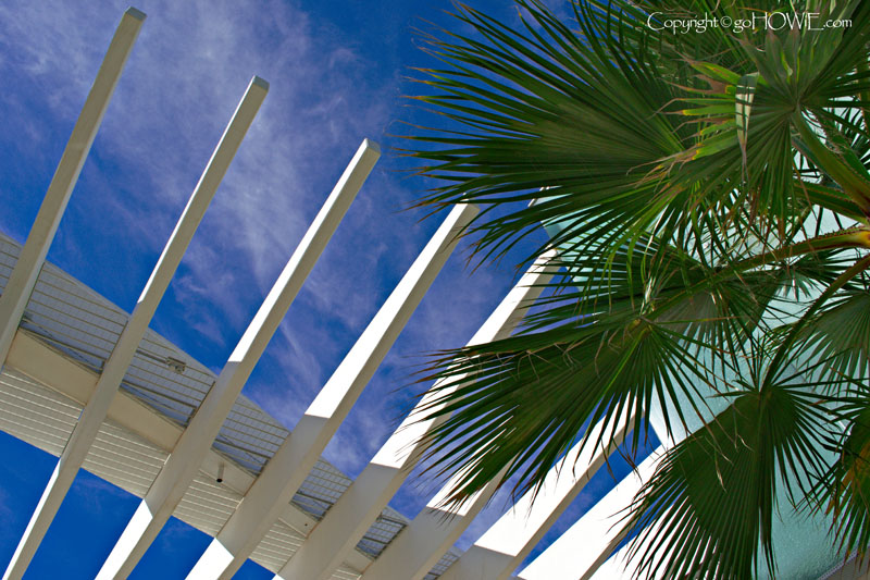 Futuristic walkway roof and palm tree, Malaga, Spain