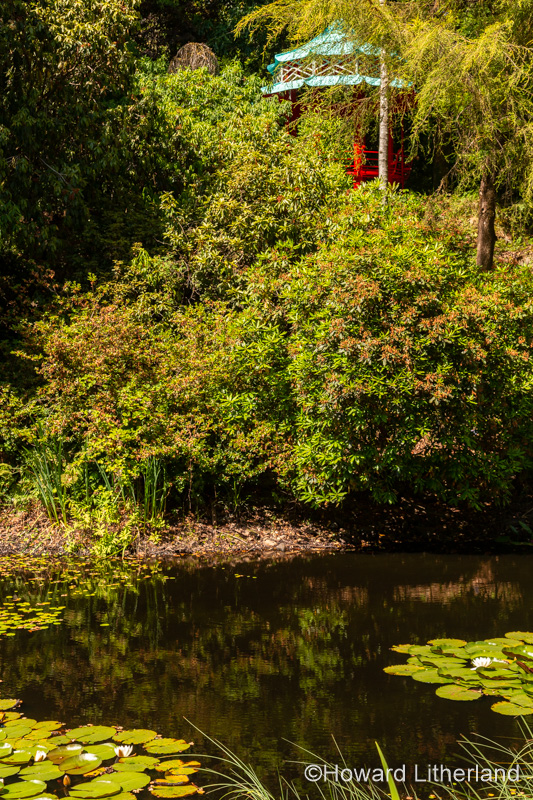 Lily pond and pagoda at Portmeirion, North Wales