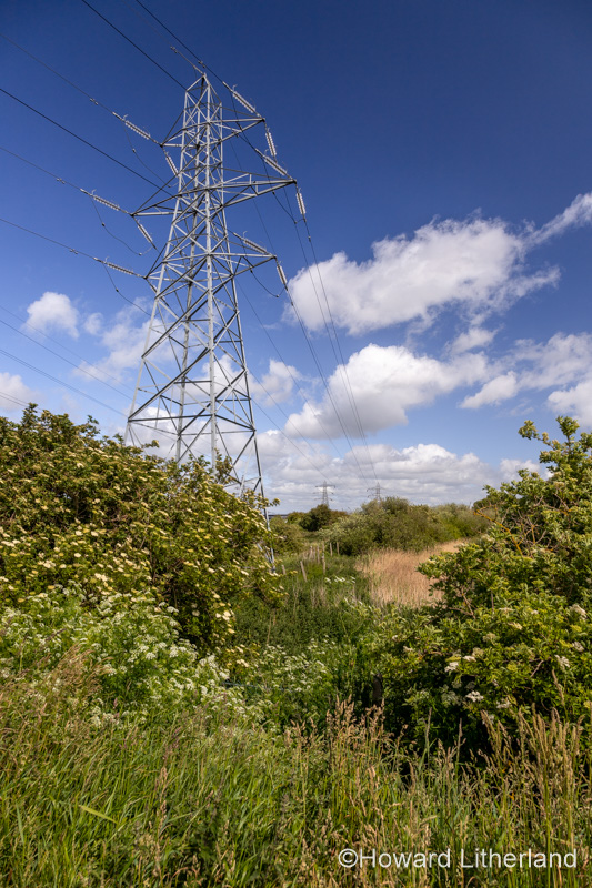 Electricity pylon, Deeside, North Wales