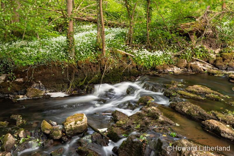 Small waterfall on the River Alyn at Maeshafn, North Wales