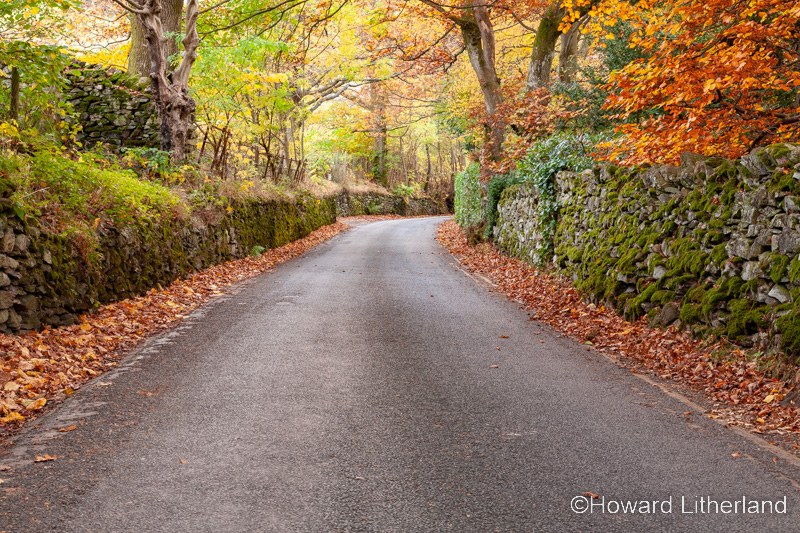 Road going through trees in autumnal colours