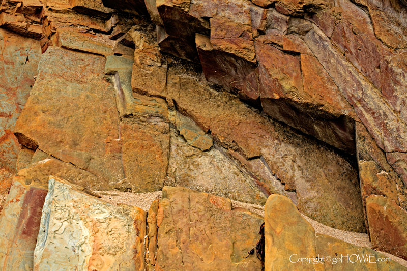 Rock and fossil, Clogher Strand, Dingle Peninsula