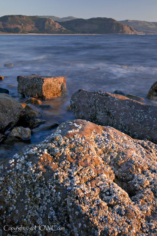 Barnacle encrusted rock with the Conway estuary and Penmaenmawr in the background
