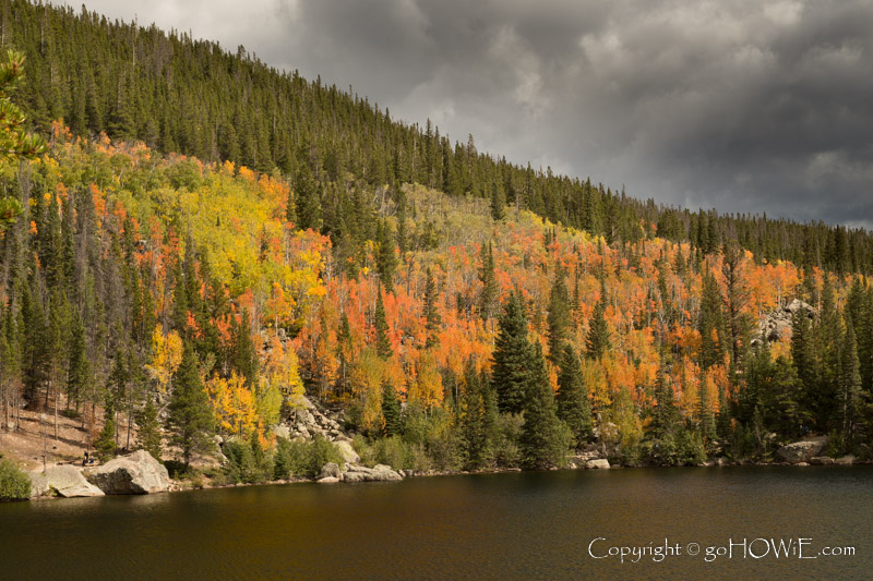 Trees in fall colours at Bear Lake, Rocky Mountain National Park, Colorado, U.S.A.