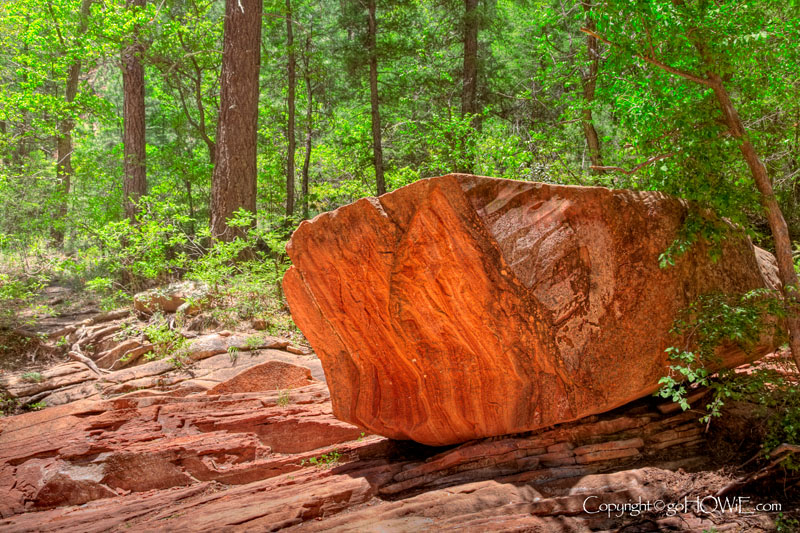 Sandstone and trees, Oak Creek, Sedona, Arizona