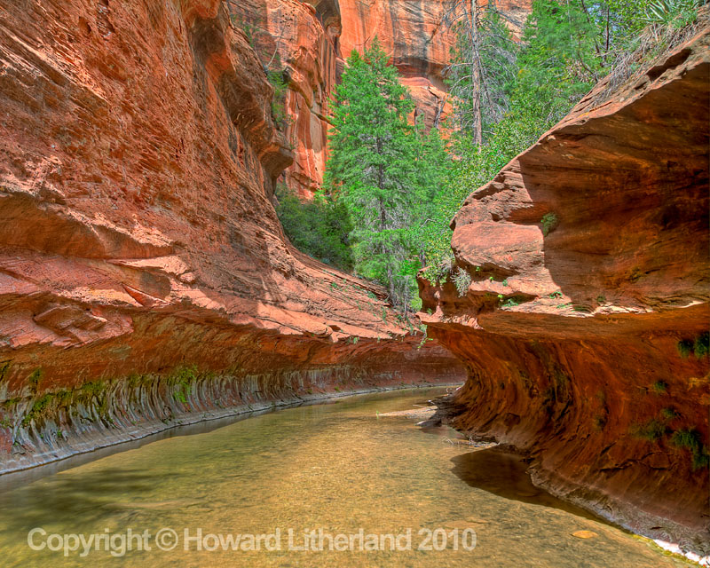 Sandstone, trees and river, Oak Creek, Sedona, Arizona