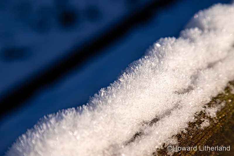Snow crystals in sunlight