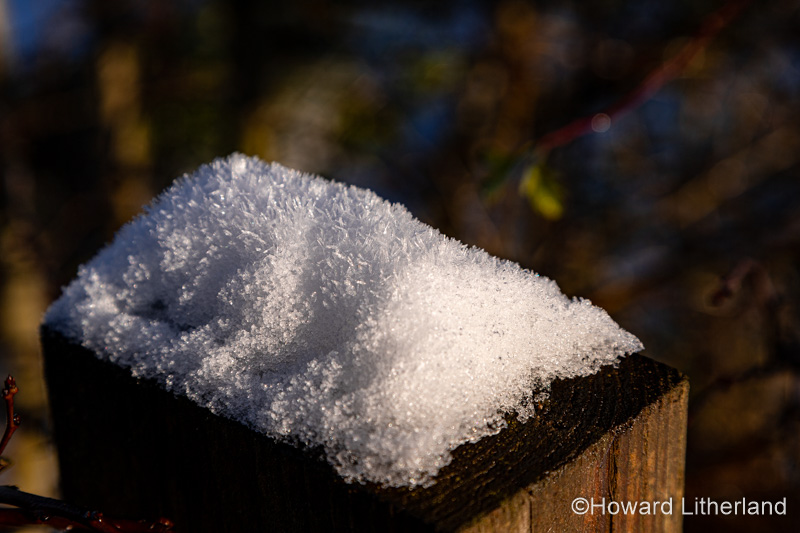 Snow crystals in sunlight
